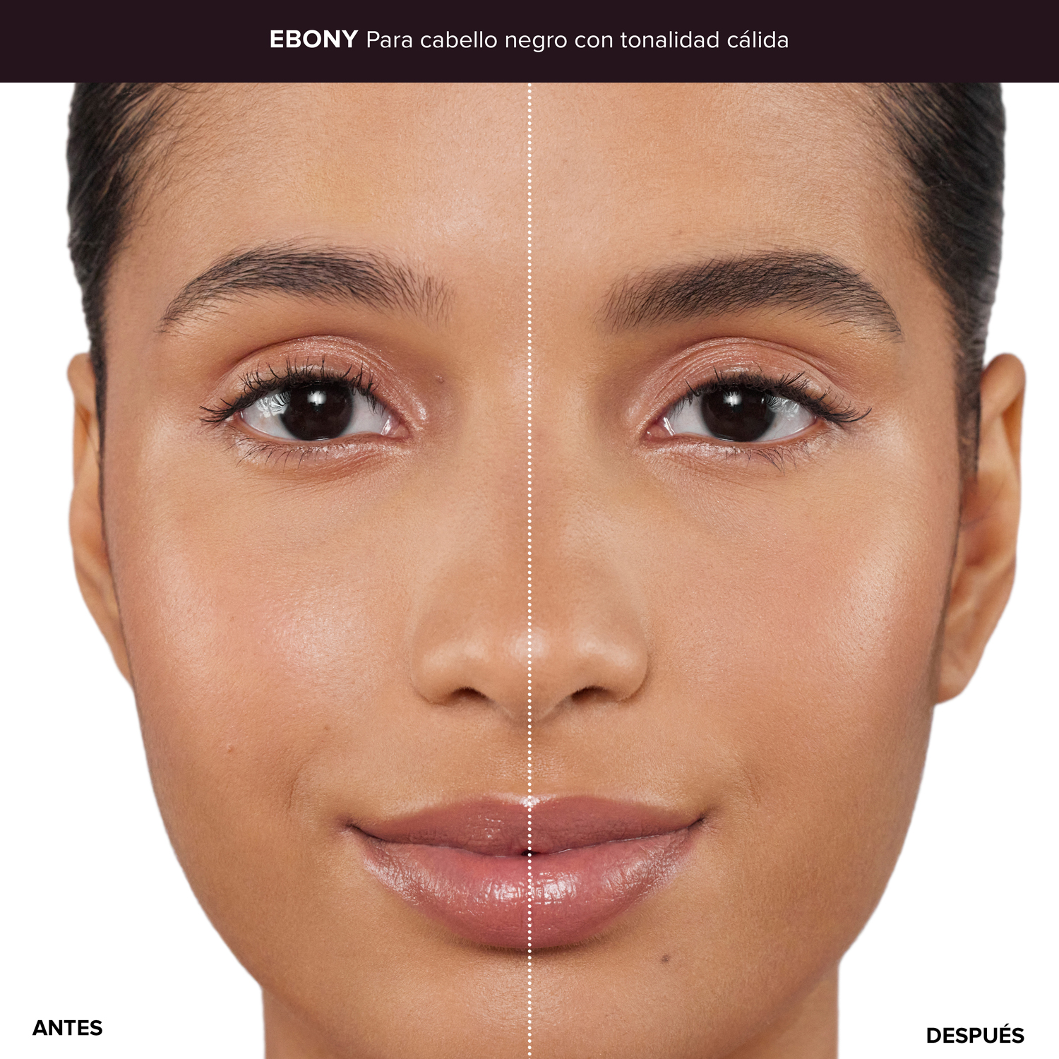 LIFTED & DEFINED BROW DUO (DUO DE MAQUILLAJE PARA CEJAS)